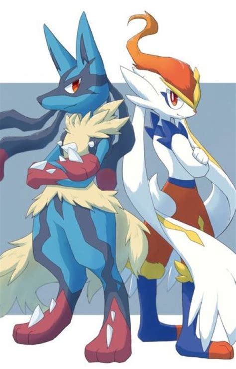 lucario x cinderace|Lucarioxcinderace Stories